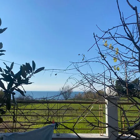 Kalfas 2 Nea Michaniona